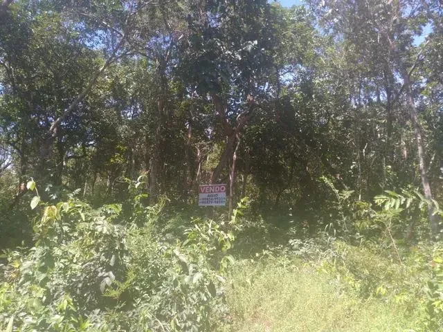 Imagem 1: Vendo Chacara em Indiara