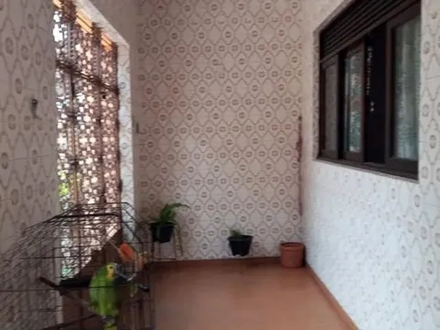 Imagem 8: Vende-Se Casa em Campo Grande Recife