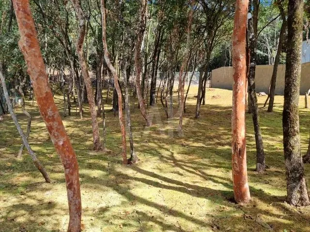 Imagem 2: Casa em Condomínio À Venda, 4 Quartos, 4 Suítes, 4 Vagas, Quintas do Sol - Nova Lima/Mg