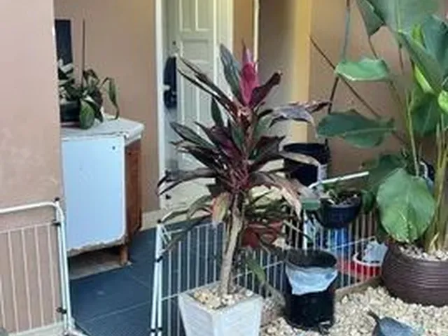 Imagem 9: Casa 03 Dorm e 01 Vaga e 03 Banheiros Trinadade