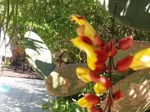 Imagem 3: Alugo Ap com Um Dormitório Pertinho da Praia