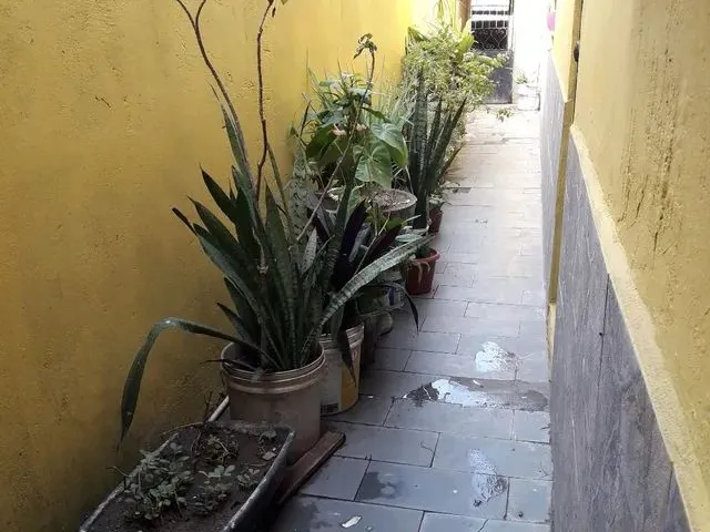 Imagem: Aluga-Se Kitnet na Raiz