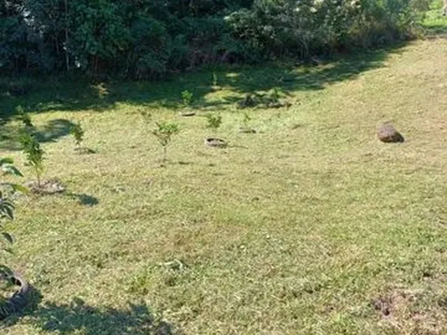 Imagem: Vendo Sítio em Águas Mornas