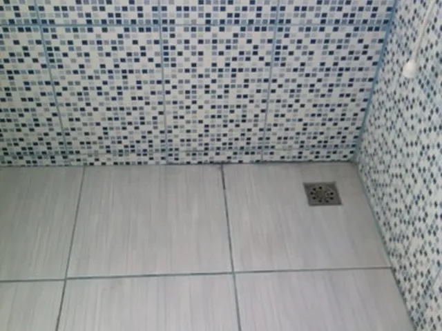 Imagem 10: Casa com Loja na Rua Doutor Lessa