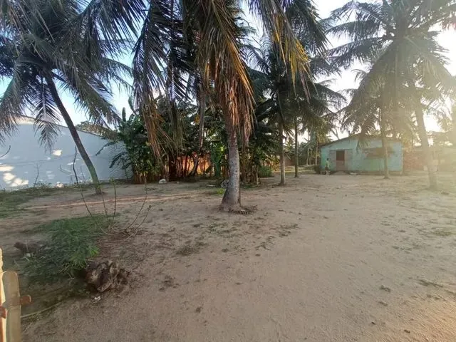 Imagem 2: Granjas Chácara com venda por R$130.000