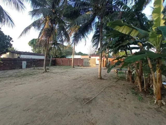 Imagem 4: Granjas Chácara com venda por R$130.000