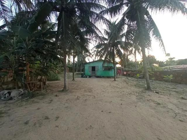 Imagem 3: Granjas Chácara com venda por R$130.000