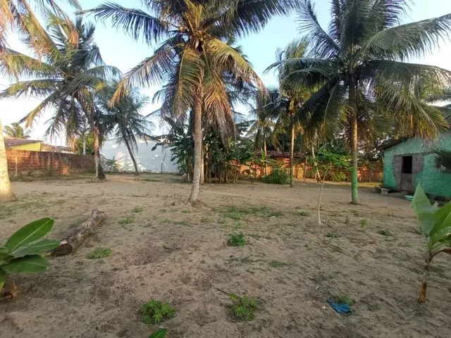 Imagem 5: Granjas Chácara com venda por R$130.000