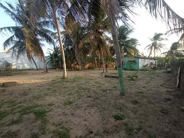 Imagem 8: Granjas Chácara com venda por R$130.000