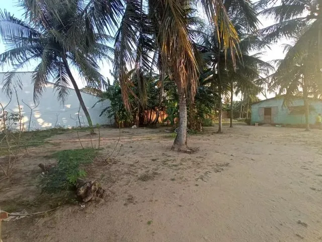 Imagem 6: Granjas Chácara com venda por R$130.000