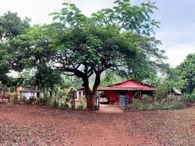 Imagem: Fazenda 55,50 Hectares - Felixlândia (Mg