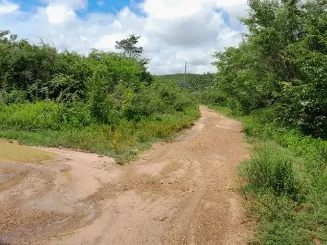 Imagem: Vendo 2 Lotes Ligados, Medindo 10X30M Cada