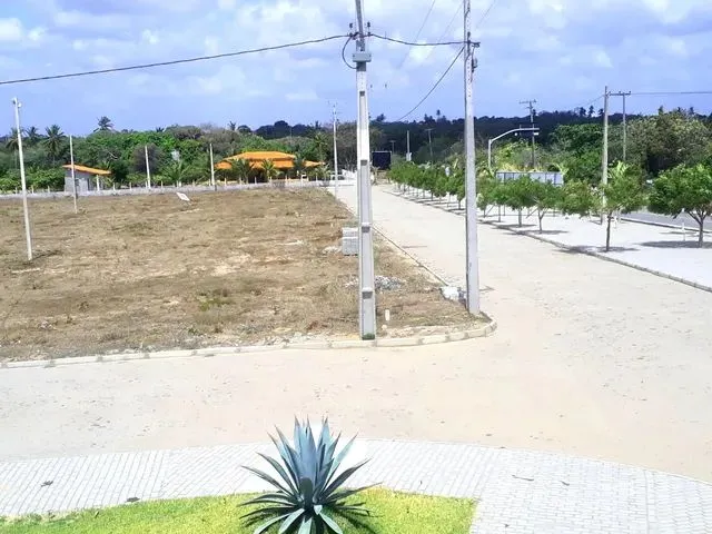 Imagem 8: Lotes de 6X25, Prox a Praia da Barra Nova. de Imediato