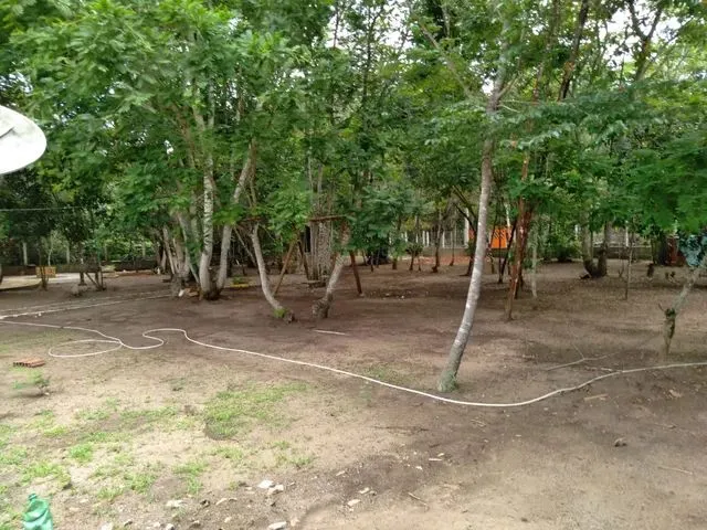 Imagem 12: Chácara para Venda com 2.258M² de Àrea, na Serra do Àraripe, Dist. de santa Fé
