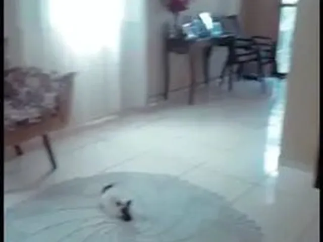 Imagem 11: Casa no Renascer 2