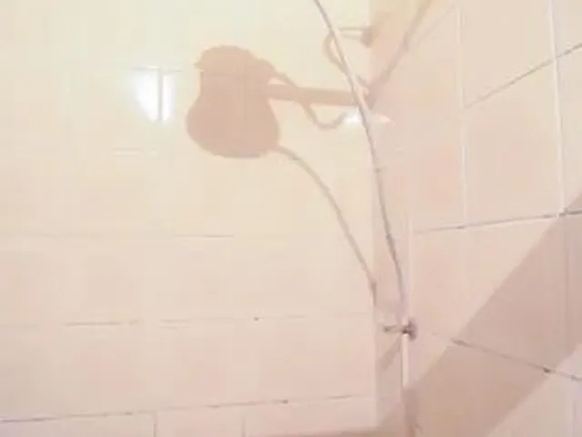 Imagem 10: Apartamento À Venda - Centro, 1 Quarto, 40 M2