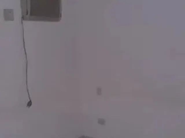 Imagem 3: 3 Quartos Sem Fiador