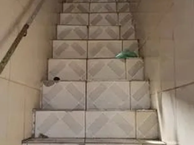 Imagem: Casa 1º Andar Bairro Serraria
