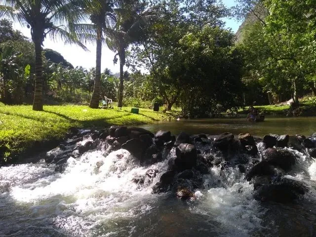 Imagem: Chácara À Venda com 2.000 M² em Cachoerinha