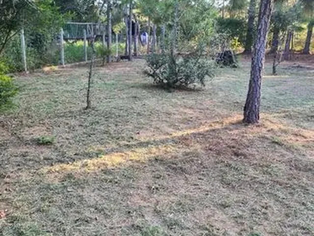 Imagem 6: Sitio com Casa Aguas Claras Viamao