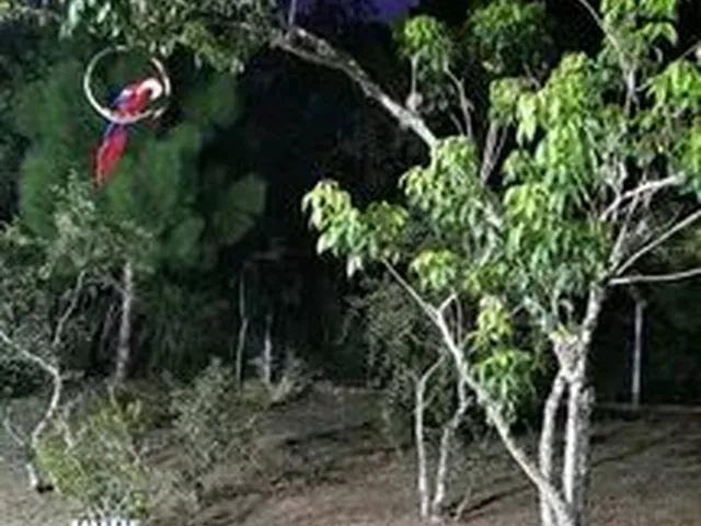 Imagem 7: Sitio com Casa Aguas Claras Viamao