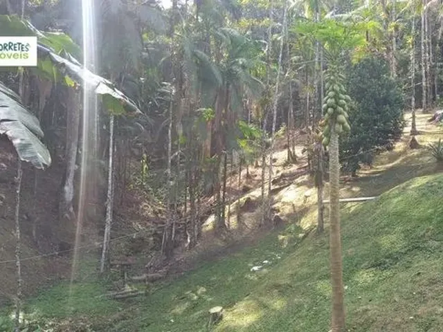 Imagem 9: Chácara À Venda no Bairro santa Fé - Morretes/Pr