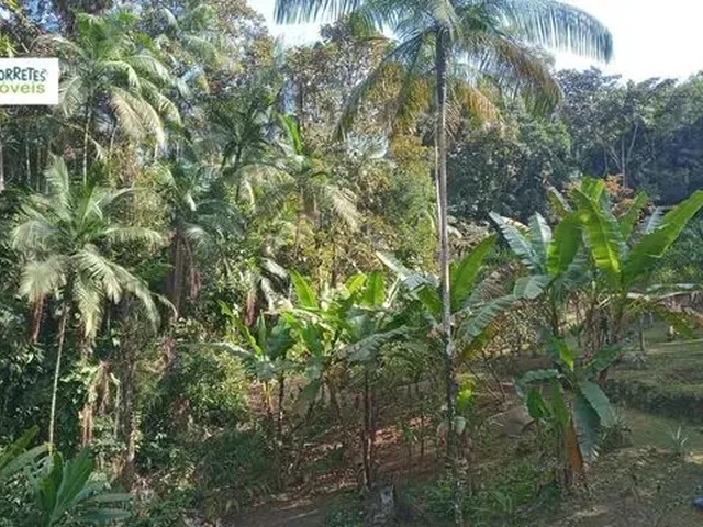 Imagem 10: Chácara À Venda no Bairro santa Fé - Morretes/Pr