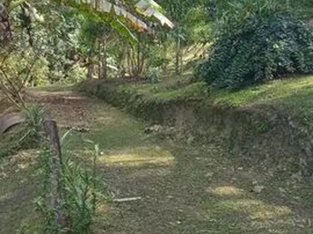 Imagem 6: Chácara À Venda no Bairro santa Fé - Morretes/Pr