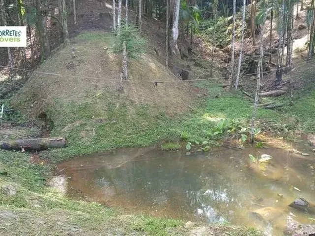 Imagem 16: Chácara À Venda no Bairro santa Fé - Morretes/Pr