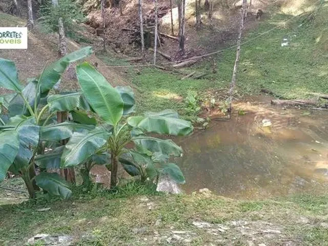 Imagem 8: Chácara À Venda no Bairro santa Fé - Morretes/Pr