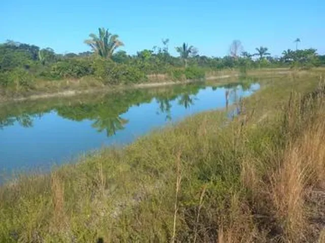 Imagem: Sítio Porto Velho