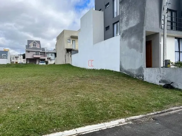Imagem 4: Curitiba - Loteamento/Condomínio - Umbará