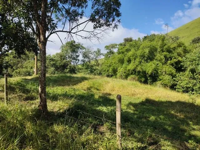 Imagem 6: Chácara com Área de 8.000 M2 Cambui-Mg