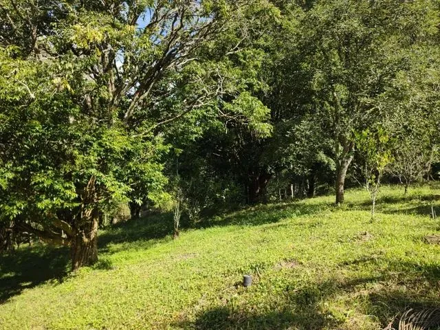 Imagem 4: Chácara com Área de 8.000 M2 Cambui-Mg
