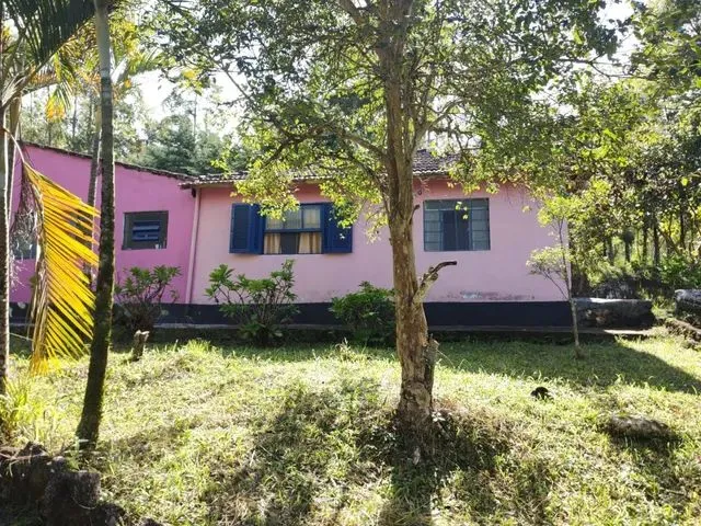 Imagem 10: Chácara com Área de 8.000 M2 Cambui-Mg