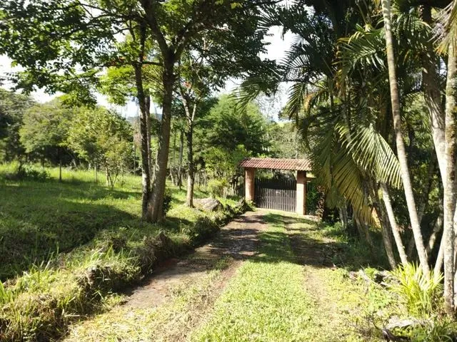 Imagem 3: Chácara com Área de 8.000 M2 Cambui-Mg
