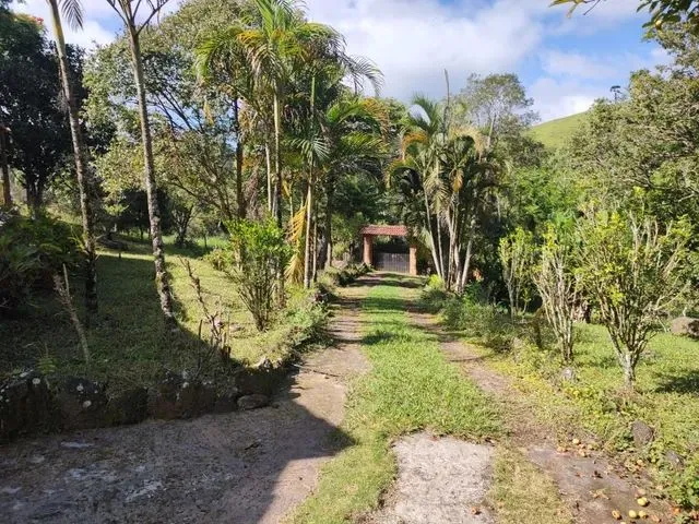 Imagem 11: Chácara com Área de 8.000 M2 Cambui-Mg