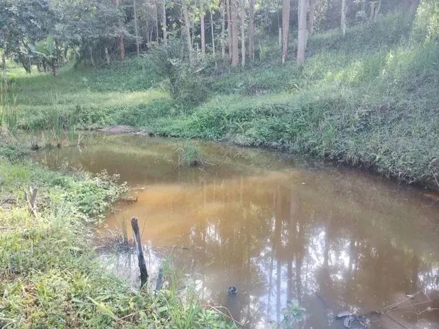 Imagem 2: Chácara com Área de 8.000 M2 Cambui-Mg