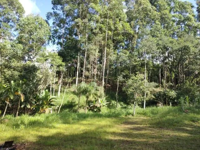 Imagem 8: Chácara com Área de 8.000 M2 Cambui-Mg