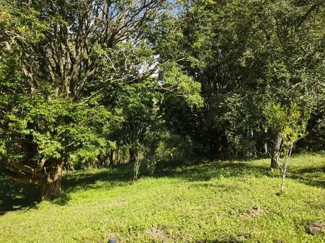 Imagem 5: Chácara com Área de 8.000 M2 Cambui-Mg