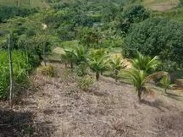Imagem 5: Chácara com Casa Construída - Cabo de Santo Agostinho