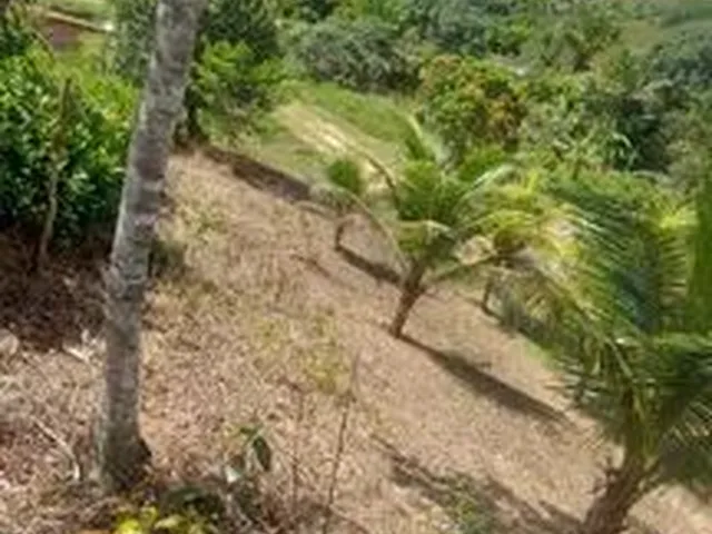 Imagem 6: Chácara com Casa Construída - Cabo de Santo Agostinho