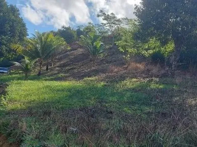 Imagem 9: Chácara com Casa Construída - Cabo de Santo Agostinho