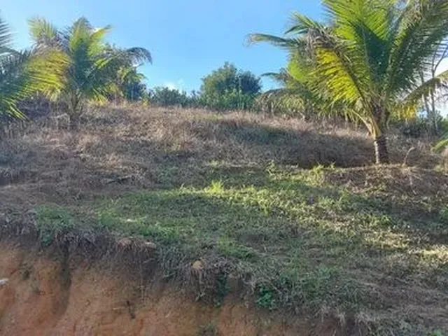Imagem 14: Chácara com Casa Construída - Cabo de Santo Agostinho