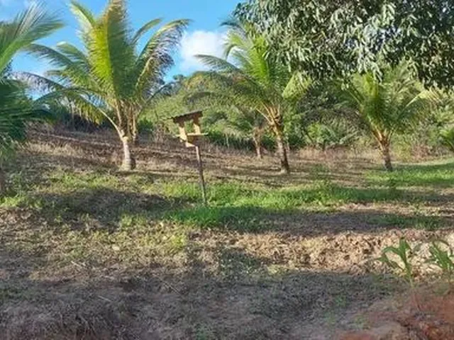 Imagem 11: Chácara com Casa Construída - Cabo de Santo Agostinho