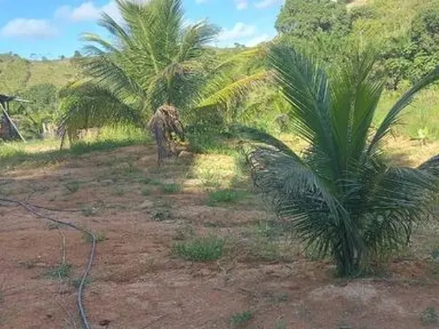 Imagem 4: Chácara com Casa Construída - Cabo de Santo Agostinho
