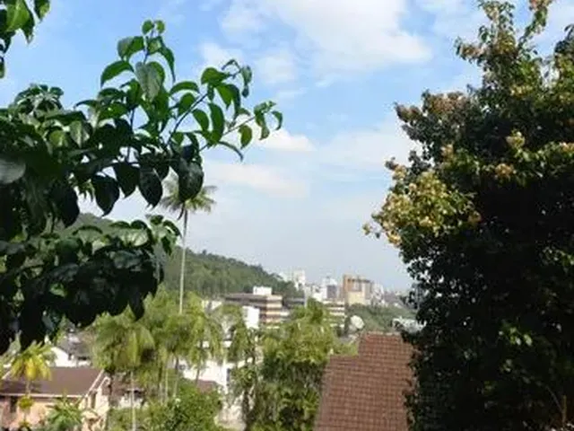 Imagem 8: Joinville - Casa Padrão - Saguaçu