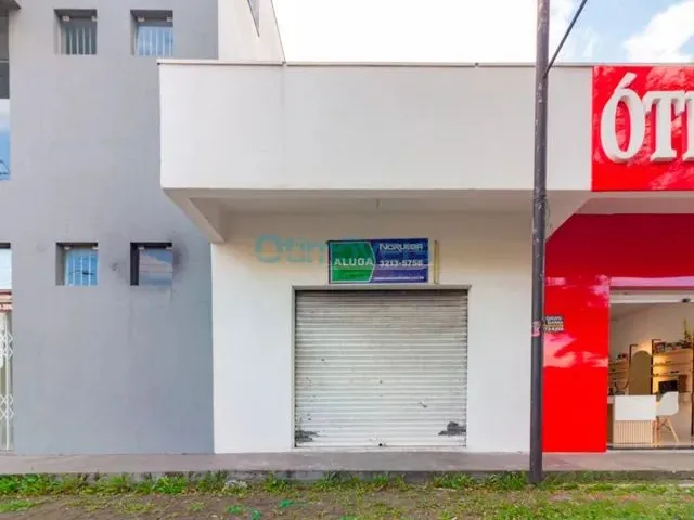Imagem: Curitiba - Casa Padrão - Hauer