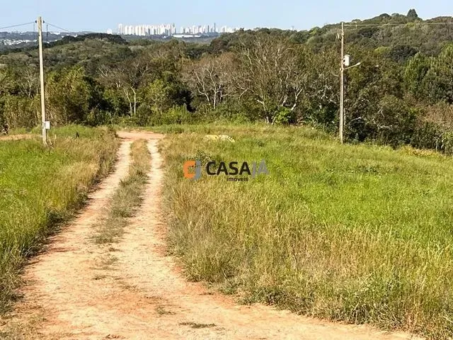 Imagem: Campo Largo - Terreno Padrão - Vila David