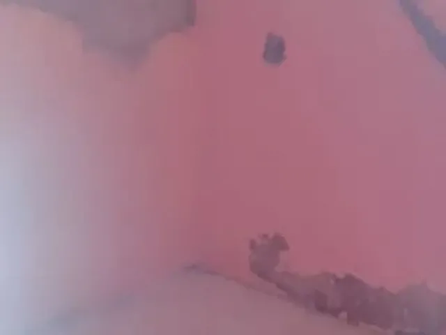 Imagem 8: Casa para Reformar em Vida Nova